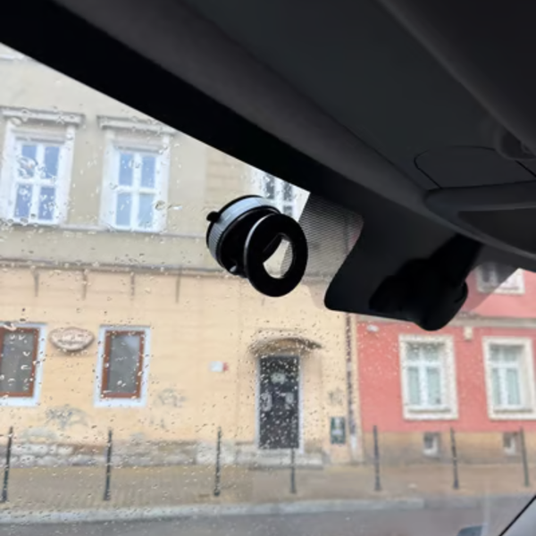 Robert Williams review